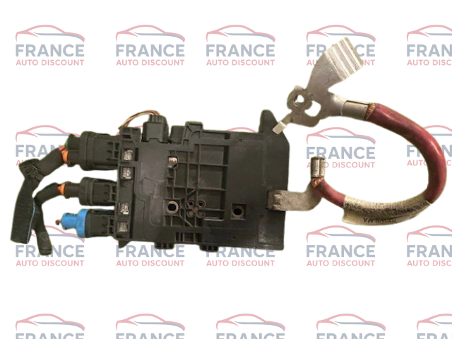 Boitier Fusible module MEGANE 3, SCENIC 3, 243800011R
